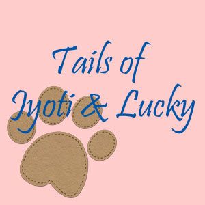 Grab button for Tails of Jyoti & Lucky