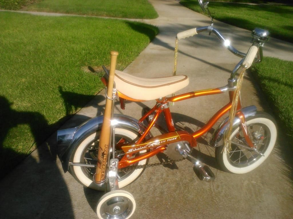 schwinn lil tiger