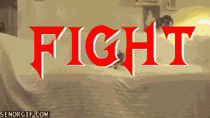  photo fight_zps576a1121.gif