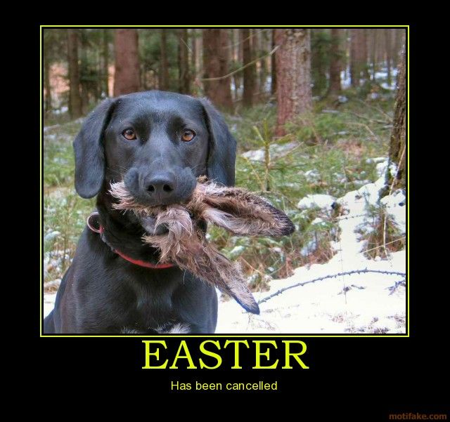  photo easter-easter-cancelled-dog-rabbit-demotivational-poster-1270125937_zpsc22f89bd.jpg