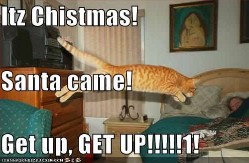  photo funny-pictures-christmas-cat-wakeup_zps04ba4062.jpg