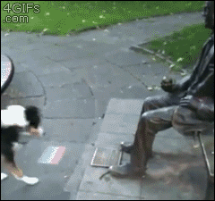  photo Dog-plays-fetch-with-statue_zps880853ee.gif