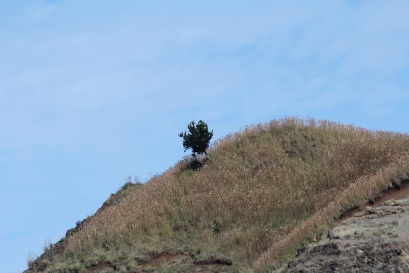 IMAGE: http://i1160.photobucket.com/albums/q483/mpbowyer/Lenses/IMG_1575_zpsea489bd9.jpg