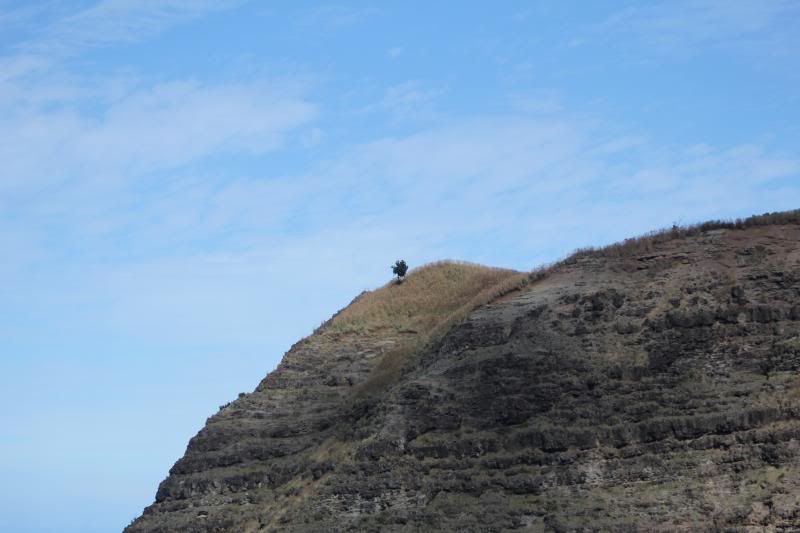 IMAGE: http://i1160.photobucket.com/albums/q483/mpbowyer/Lenses/IMG_1589_zps0381fef5.jpg