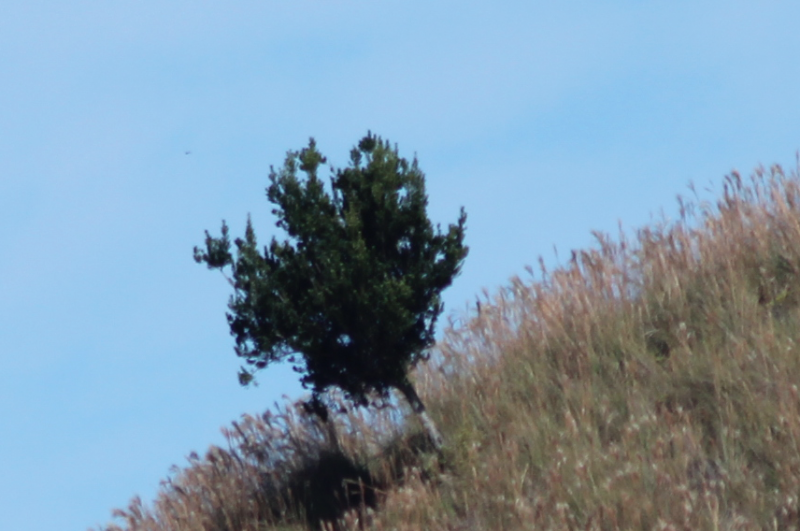 IMAGE: http://i1160.photobucket.com/albums/q483/mpbowyer/Lenses/ScreenShot2014-03-02at80542AM_zps658914c5.png