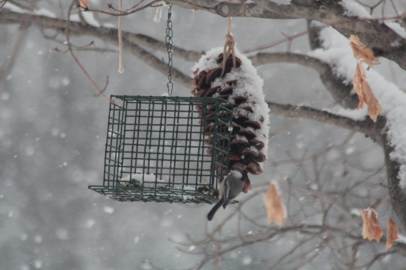 IMAGE: http://i1160.photobucket.com/albums/q483/mpbowyer/Lenses/ScreenShot2014-03-02at81454AM_zps06a1f120.png