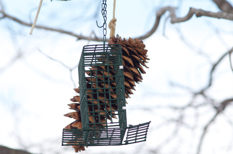 IMAGE: http://i1160.photobucket.com/albums/q483/mpbowyer/Lenses/ScreenShot2014-03-02at81815AM_zpsa74dca31.png