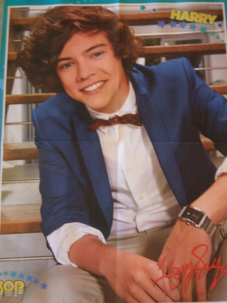 One Direction Posters Harry 2013 - Viewing Gallery One Direction Posters Harry 2013 - Viewing Gallery