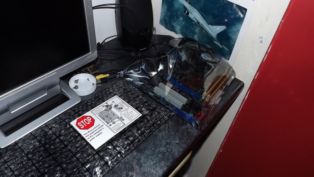 DSCF8481.jpg