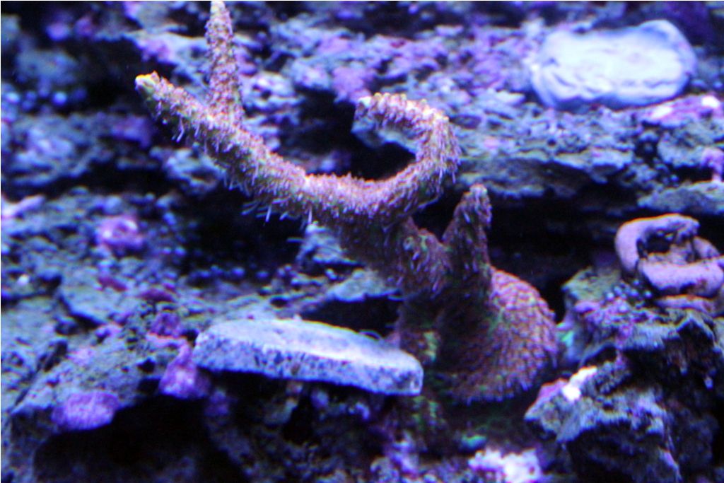 Frags067_zpsbf70f12e.jpg