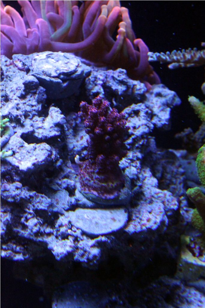 Frags091_zpsaa3eff60.jpg