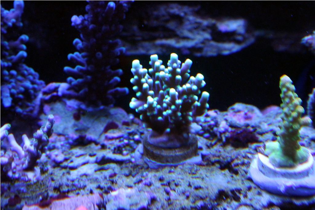 Frags110_zpscb77ecd9.jpg
