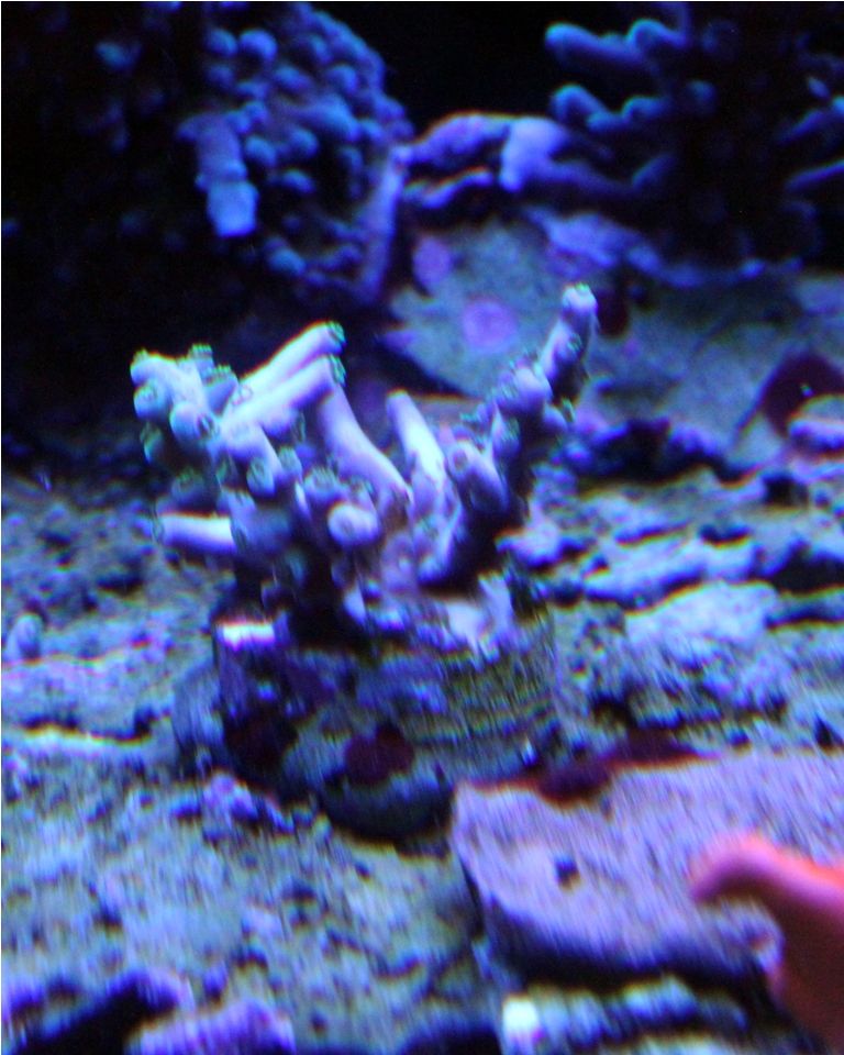 Frags112_zps06de5094.jpg