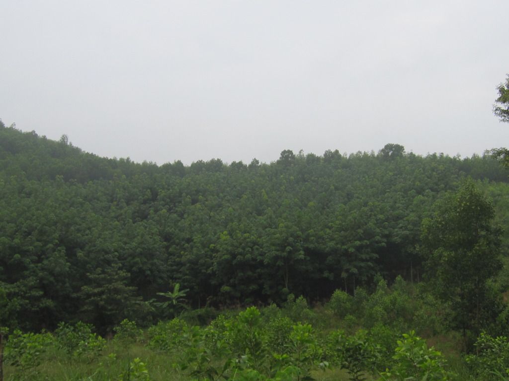 IMG_4068.jpg
