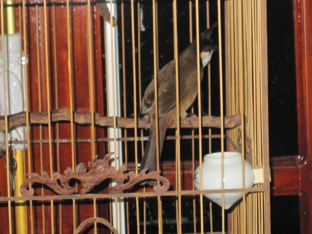 IMG_4113.jpg