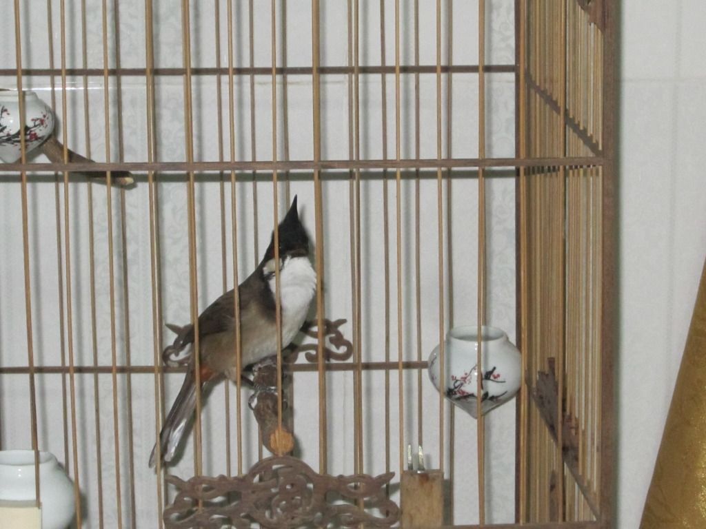 IMG_4121.jpg