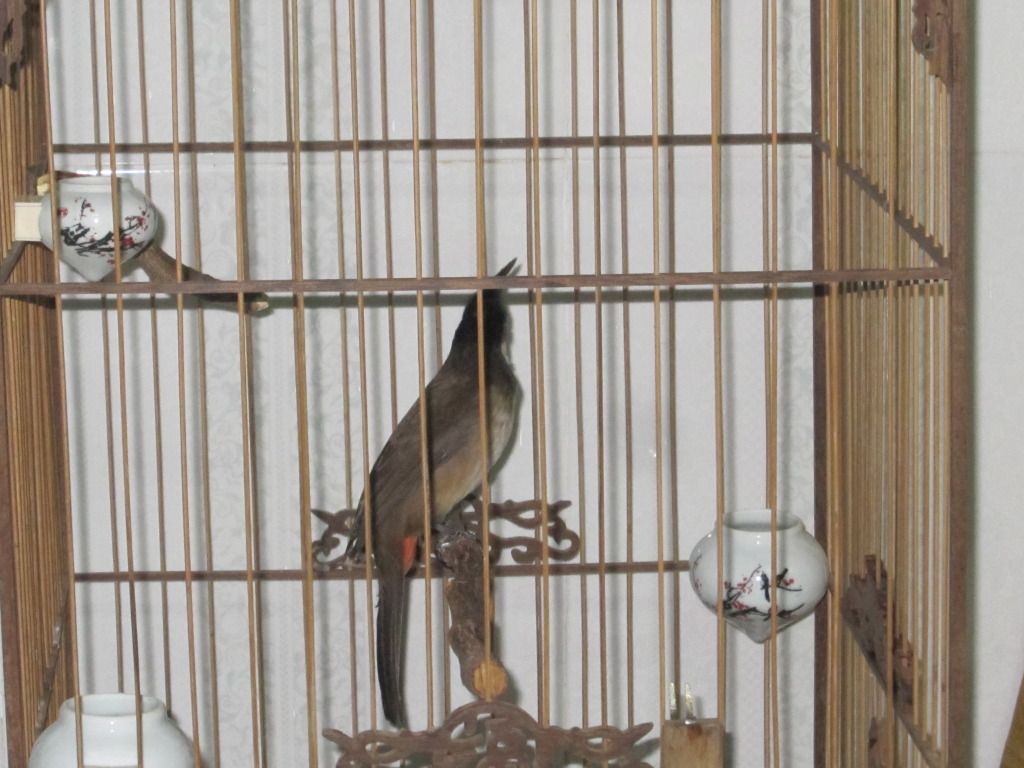IMG_4122.jpg