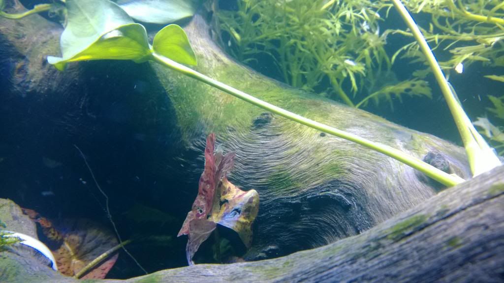 WP_20130928_005.jpg