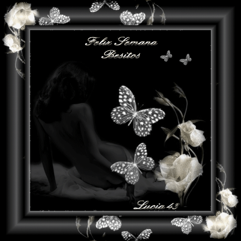  photo felisemana_zpsbb230241.gif