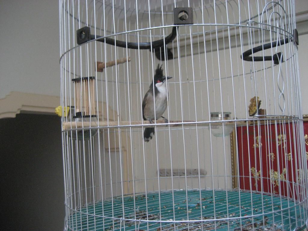 IMG_6631_zps9ua8ahkt.jpg