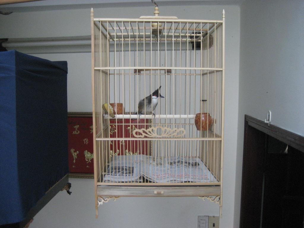 IMG_6654_zpsmcsdzmfh.jpg