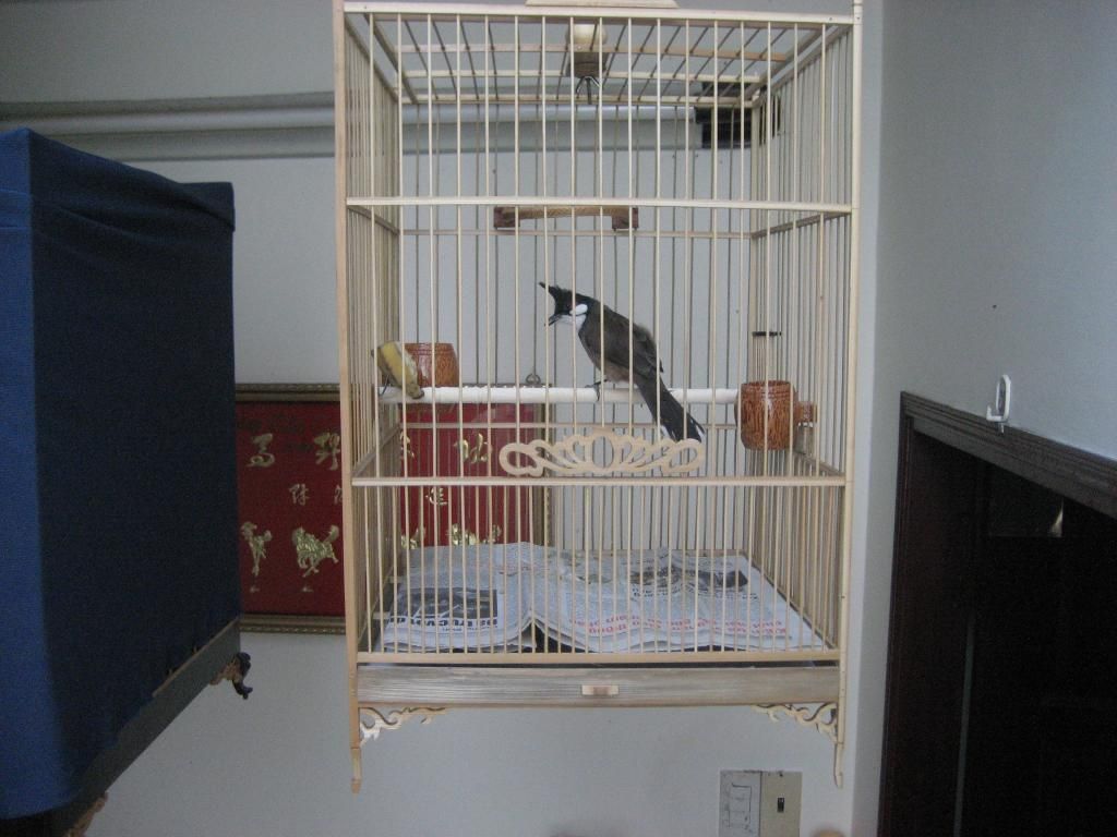 IMG_6656_zpskraljzz7.jpg