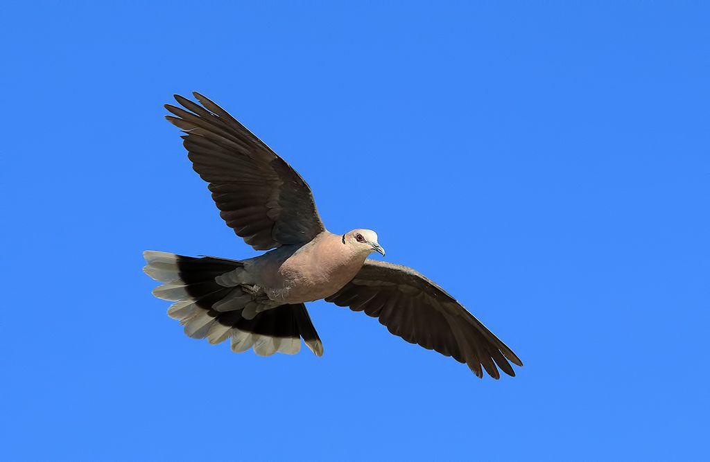 IMAGE: http://i1160.photobucket.com/albums/q493/Cassiedup/IMG_1548_zps95a2239d.jpg