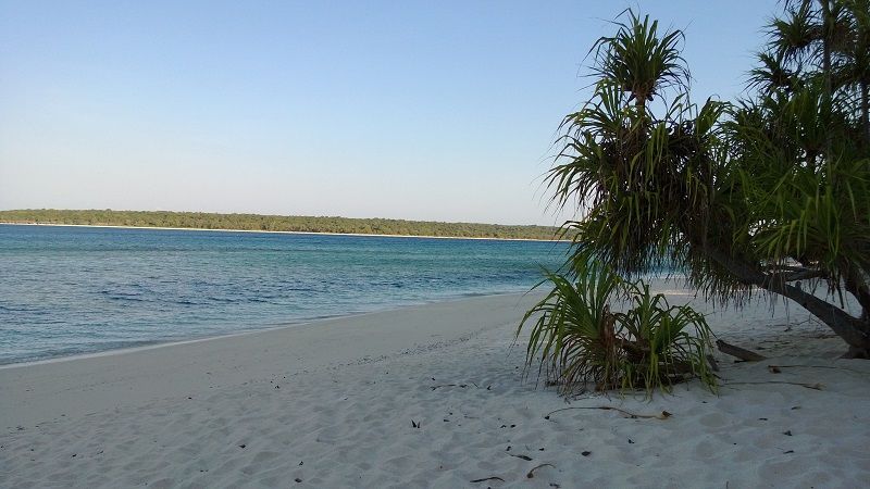 Jaco Island photo WP_20131005_007.jpg