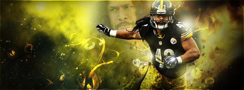 FB-Polamalu.png