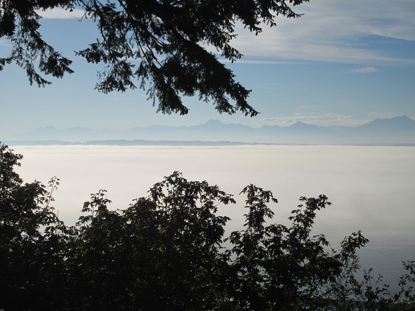 The Washington state nature thread - Page 5 - SkyscraperCity