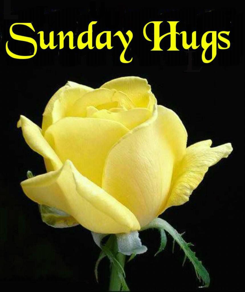 Sunday hugs Pictures, Images and Photos