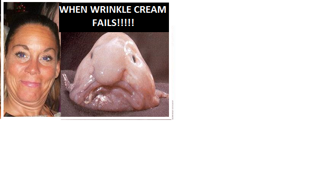 dr oz wrinkle cream