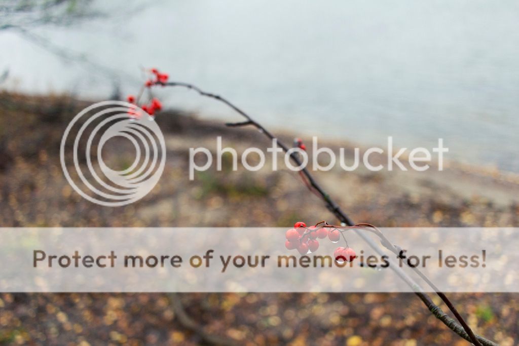  photo _MG_0048_zps7is9d3no.jpg