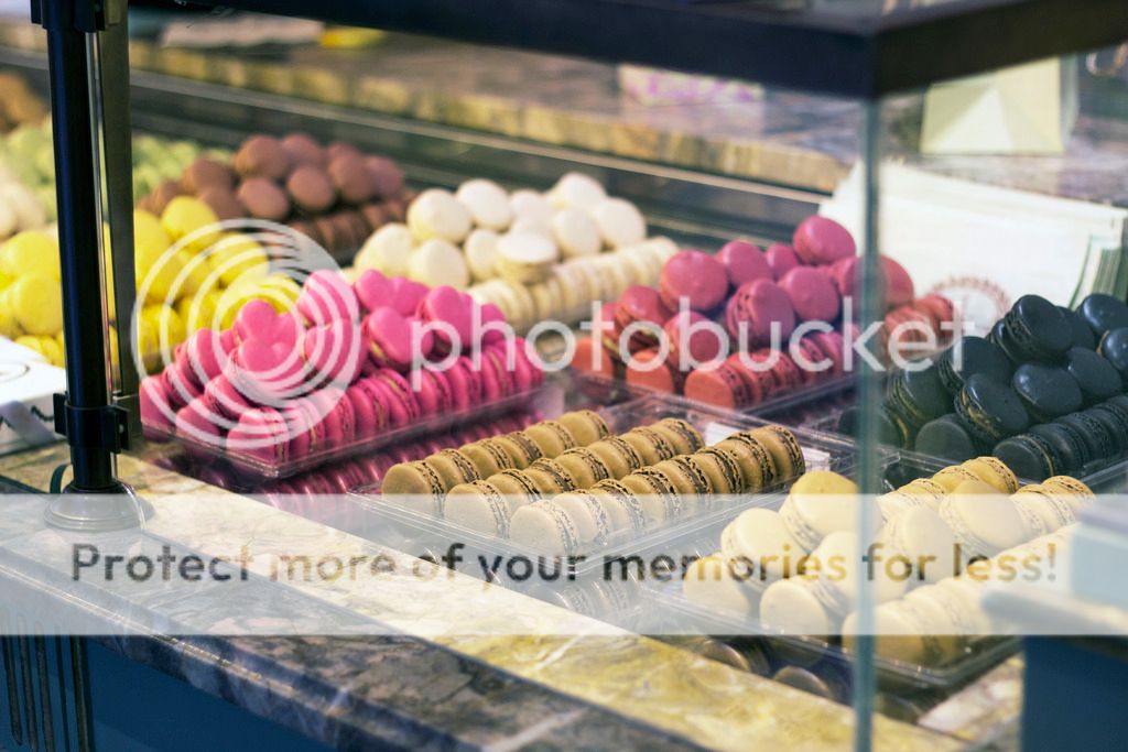  photo _MG_8654_zpsbaqa6cip.jpg