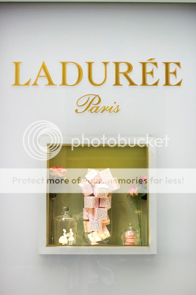  photo _MG_8659_zps483ympgs.jpg