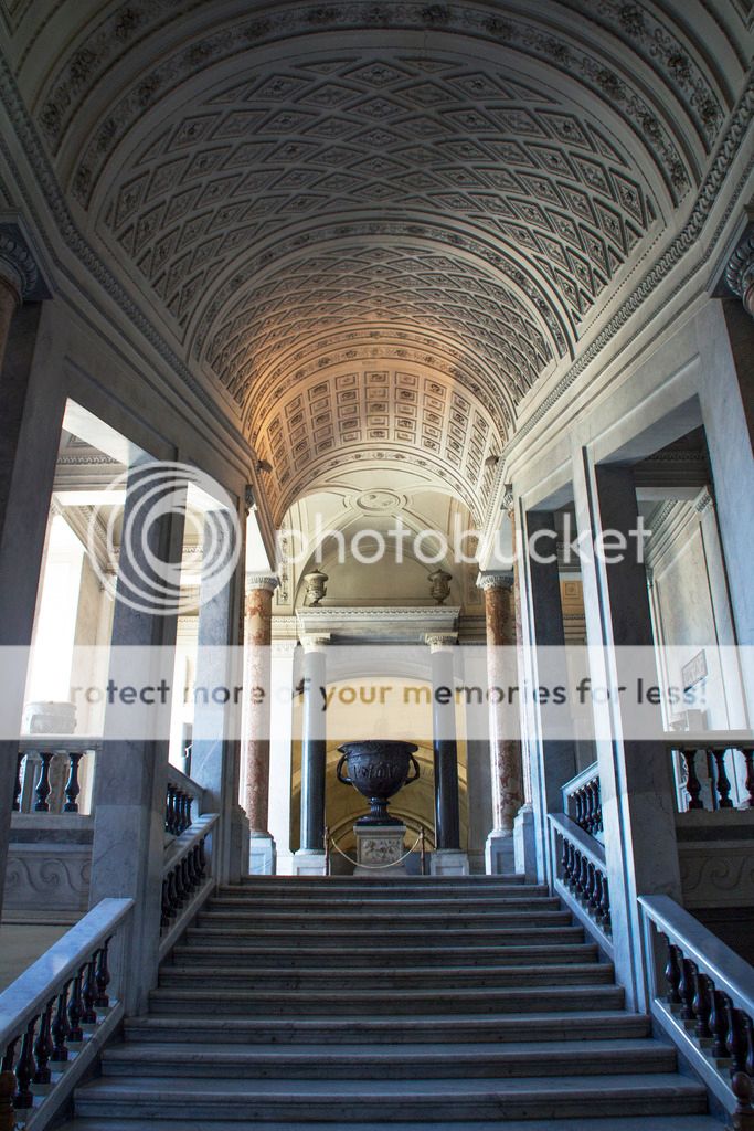  photo _MG_8738_zps9wbex2dl.jpg