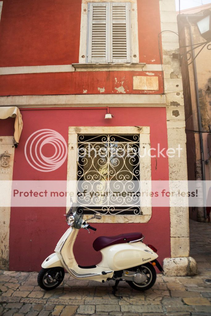  photo _MG_8878_zpslbdomlbx.jpg