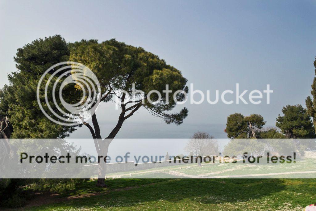  photo _MG_8895_zpsb8wxnvho.jpg