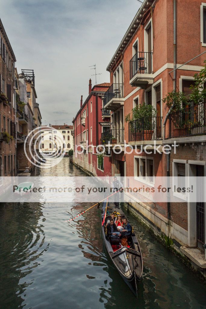  photo _MG_9004_zpsdn9g3brc.jpg