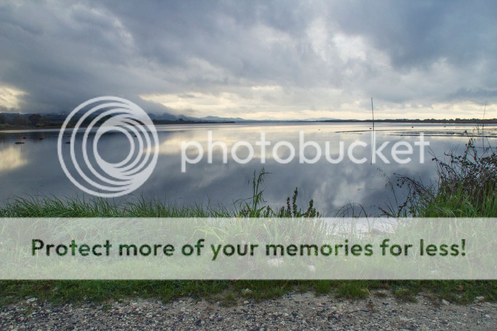  photo _MG_9037_zps9pjnhnqy.jpg