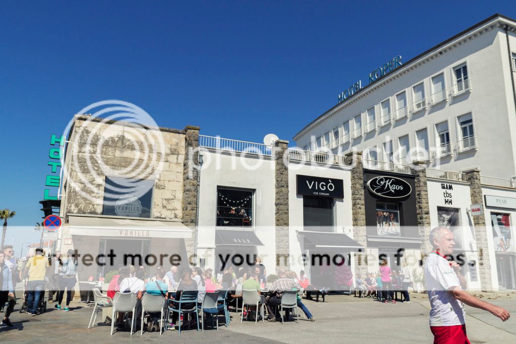 photo _MG_9046_zpslv5kj0ei.jpg