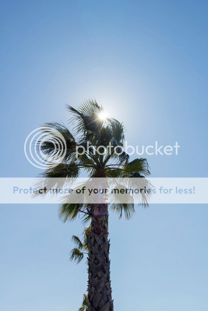 photo _MG_9058_zpsjlgp5a46.jpg