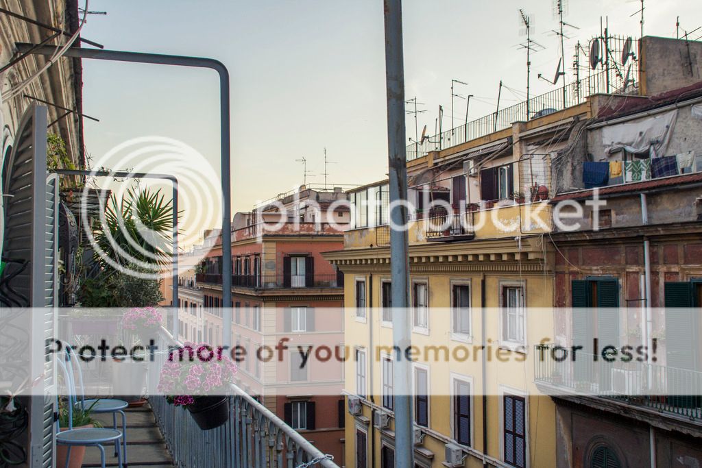 photo _MG_9074_zpsbfzog4go.jpg