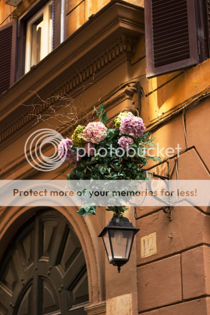 photo _MG_9107_zpskkatdit9.jpg