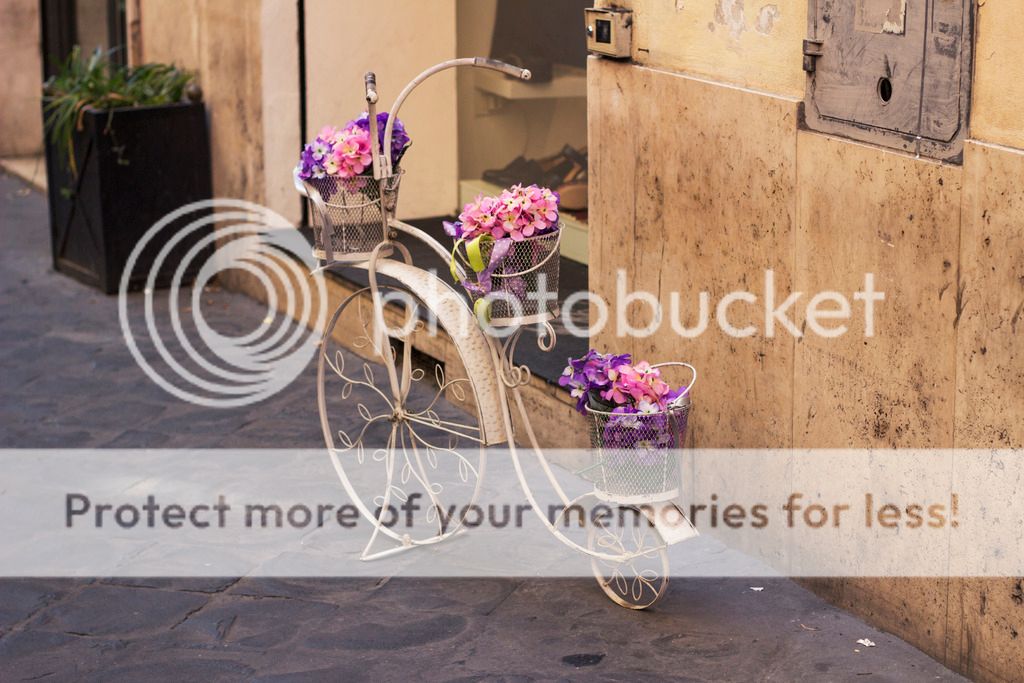 photo _MG_9133_zps94cwdpbq.jpg