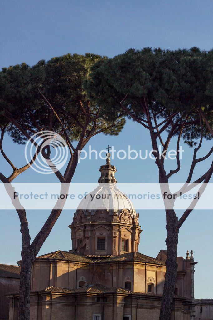  photo _MG_9160_zpsrrevotq8.jpg