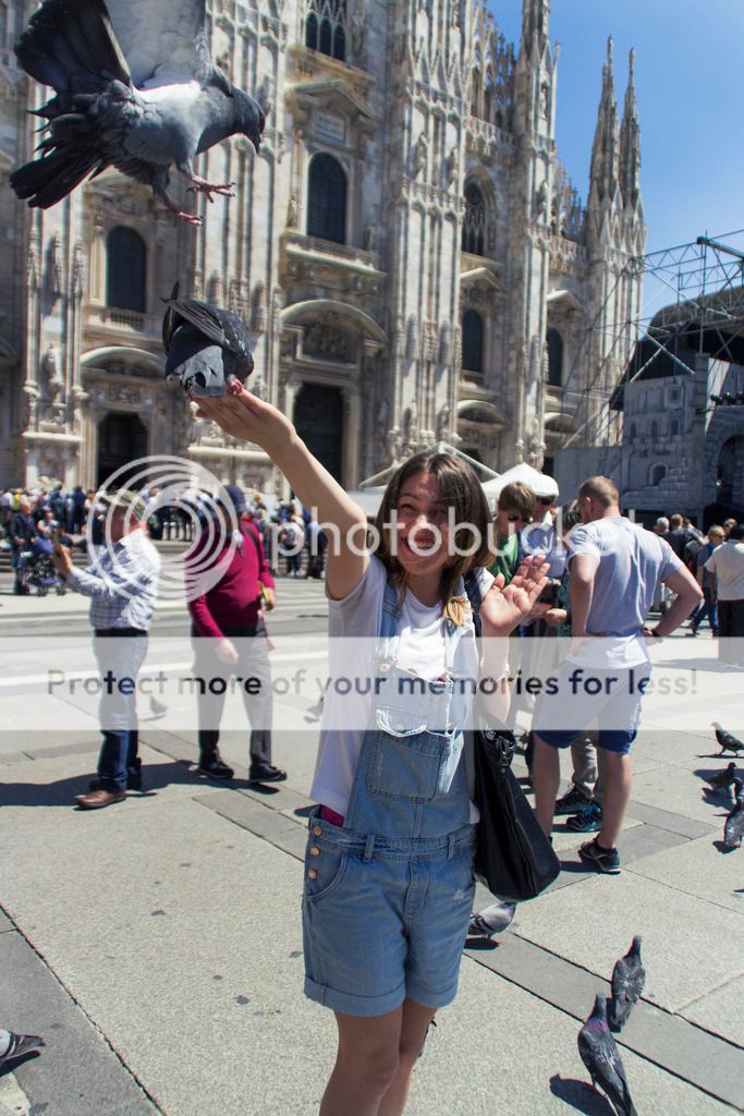 photo _MG_9342_zpslfjgk5cf.jpg