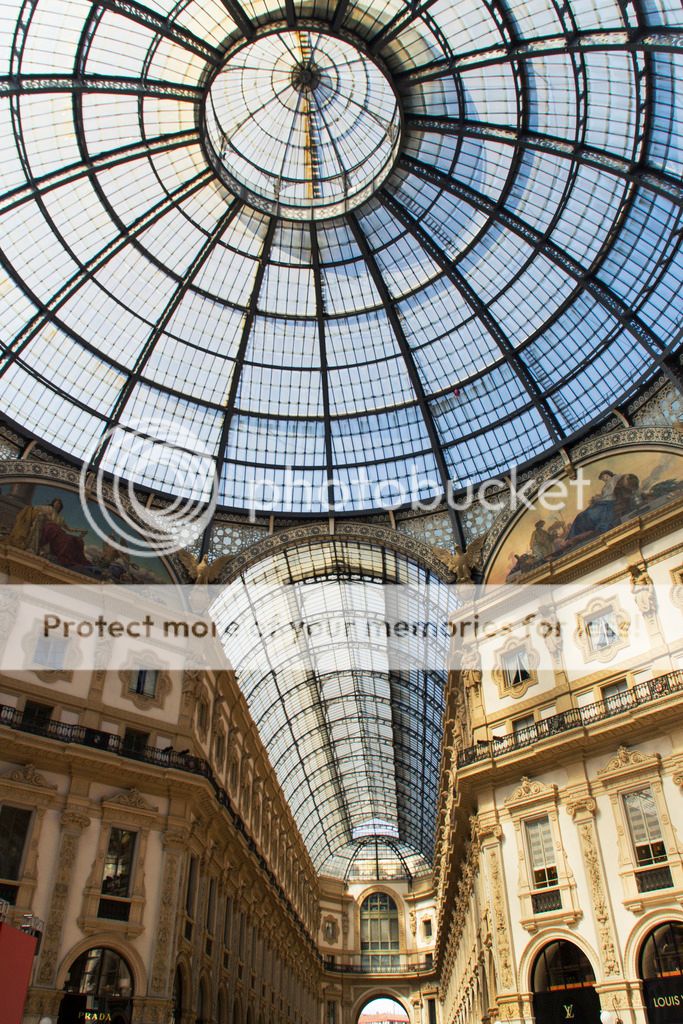 photo _MG_9361_zpsg0yxtjc1.jpg