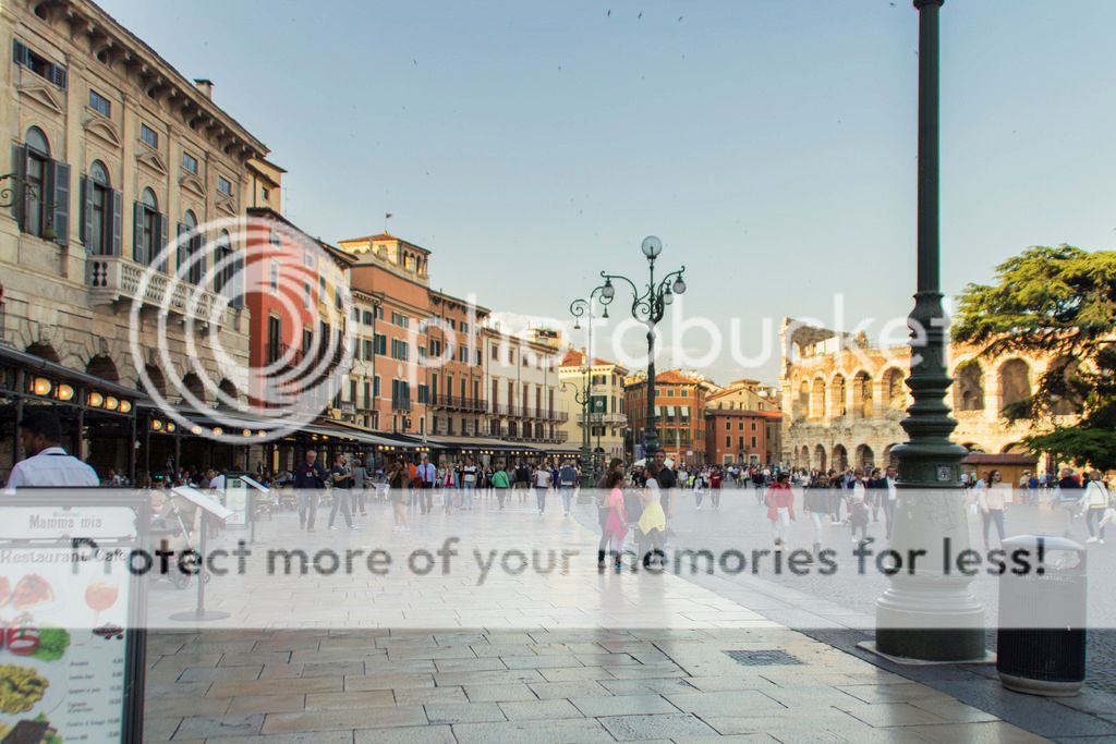 photo _MG_9419_zpsjyuimzk4.jpg