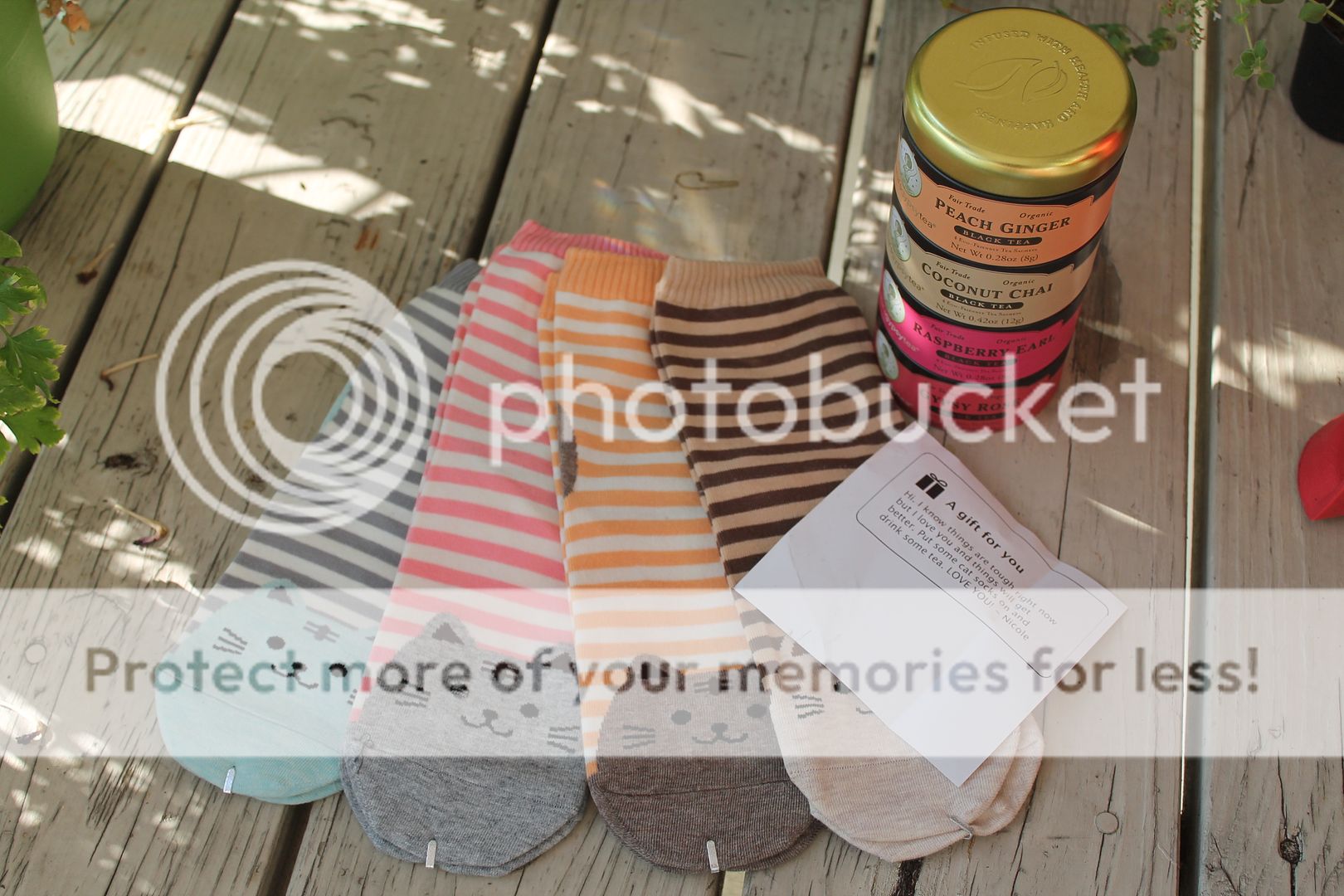  photo IMG_5984_zpsfs9mq6pn.jpg